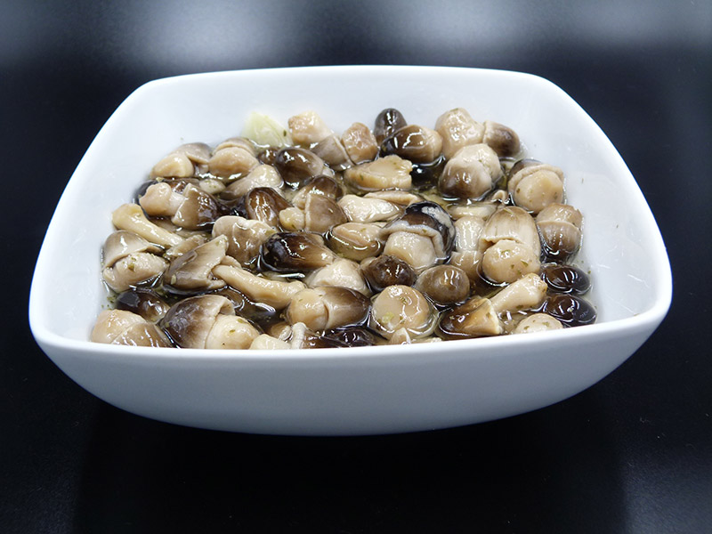 Funghi di muschio
