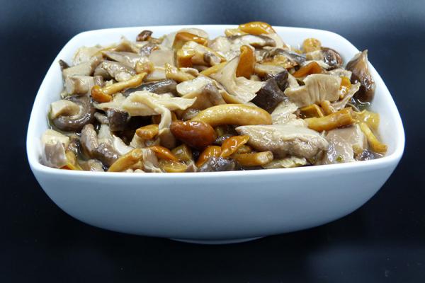 Funghi misto bosco