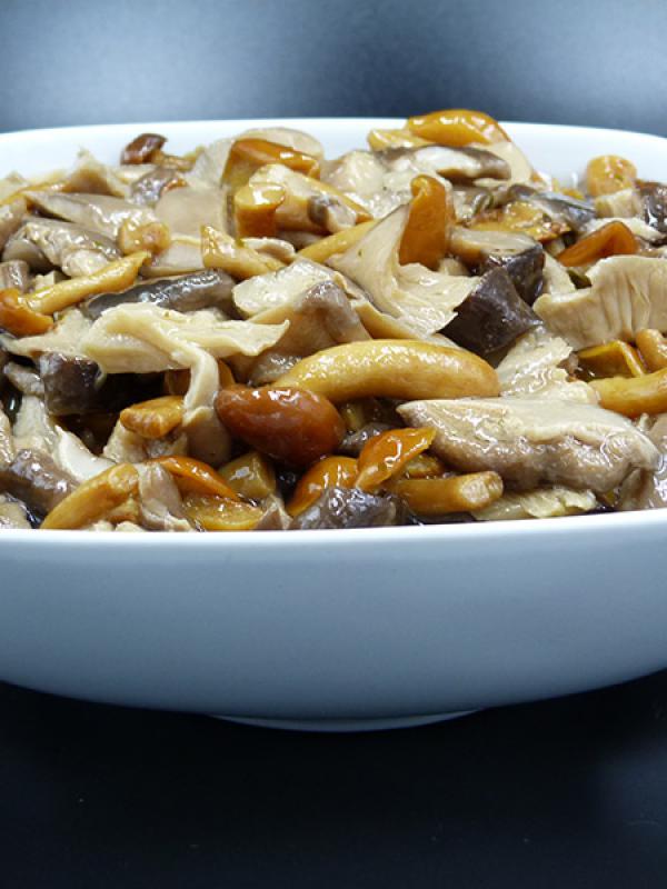 Funghi misto bosco